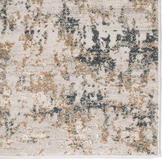 Jaipur Living Cirque Arvo CIQ09 White/Dark Gray Area Rug