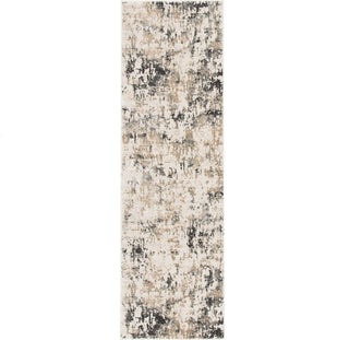 Jaipur Living Cirque Arvo CIQ09 White/Dark Gray Area Rug