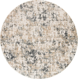 Jaipur Living Cirque Arvo CIQ09 White/Dark Gray Area Rug