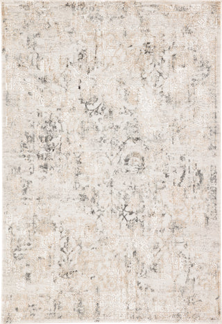 Jaipur Living Cirque Clara CIQ16 Gray Area Rug Main Image