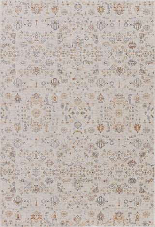 Jaipur Living Cirque Waverly CIQ45 White/Light Gray Area Rug main image