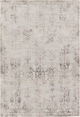 Jaipur Living Cirque Fortier CIQ46 Cream/Gray Area Rug main image