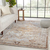 Jaipur Living Citrine Raisa CIT11 Gray/Gold Area Rug Lifestyle Image Feature