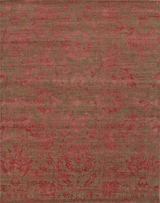 Jaipur Living Chaos Theory Gaya CKV16 Red/Brown Area Rug by Kavi