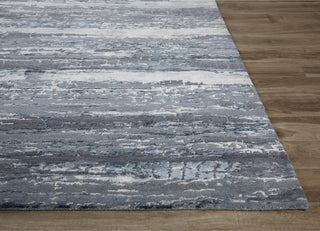 Jaipur Living Chaos Theory By Kavi Bandi CKV20 Indigo/Gray Area Rug Floor Image