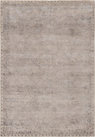 Jaipur Living Chaos Theory By Kavi Tir 2 CKV21 Gray/Taupe Area Rug