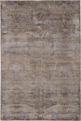 Jaipur Living Chaos Theory By Kavi Salacia CKV23 Gray/Brown Area Rug