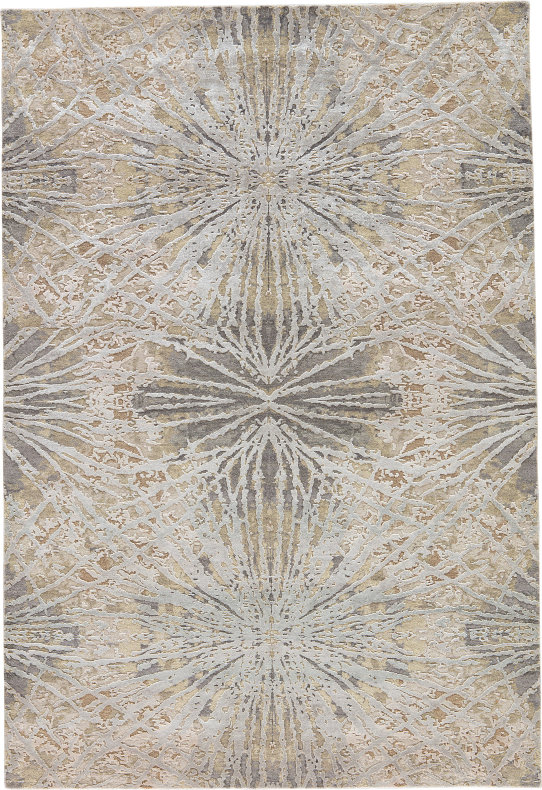 Jaipur Living Chaos Theory By Kavi Thea CKV25 Gray/Beige Area Rug - Top Down
