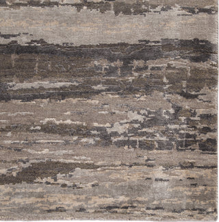 Jaipur Living Chaos Theory By Kavi Bandi CKV28 Light Gray/Blue Area Rug - Close Up