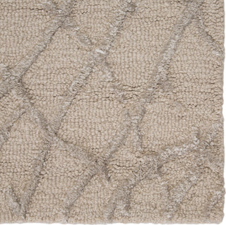 Jaipur Living Clayton Mesh CLN06 Cream Area Rug