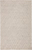 Jaipur Living Clayton Mesh CLN06 Cream Area Rug