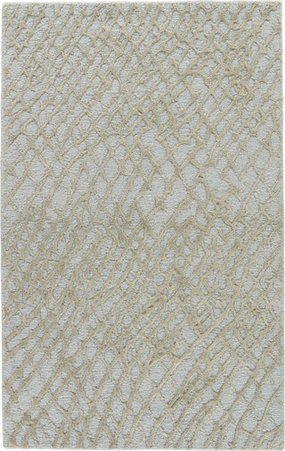 Jaipur Living Clayton Mesh CLN13 Blue Area Rug