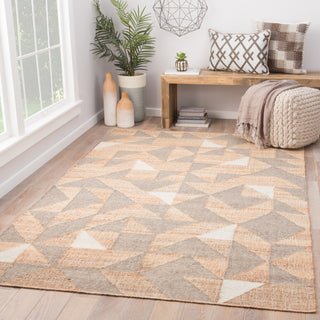 Jaipur Living Collins Utah COI03 Beige/Gray Area Rug Lifestyle Image Feature