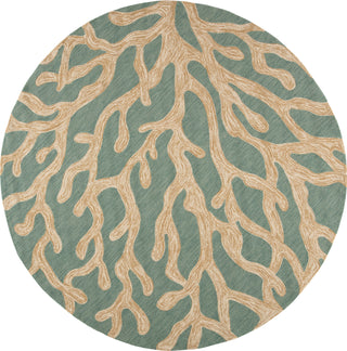 Jaipur Living Coastal Lagoon Coral COL13 Teal/Tan Area Rug