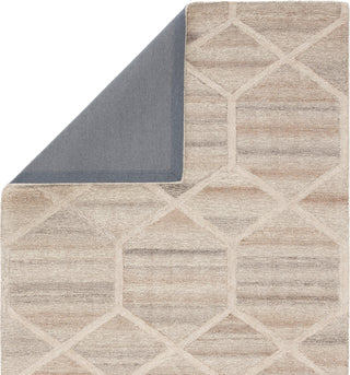 Jaipur Living City Cleveland CT107 Gray/Cream Area Rug