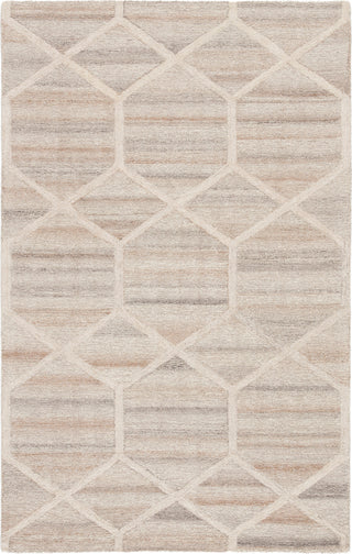 Jaipur Living City Cleveland CT107 Gray/Cream Area Rug