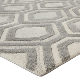 Jaipur Living City Hassan CT108 White/Gray Area Rug