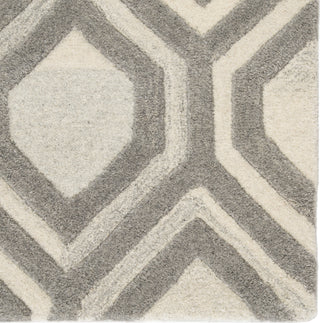 Jaipur Living City Hassan CT108 White/Gray Area Rug