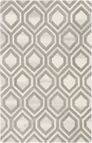 Jaipur Living City Hassan CT108 White/Gray Area Rug