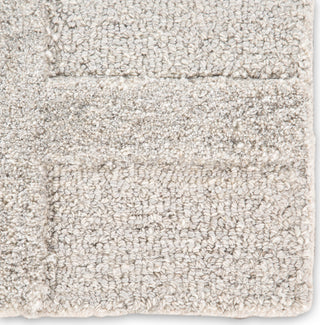 Jaipur Living City Dallas CT120 Light Gray Area Rug