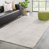 Jaipur Living City Boston CT121 Light Gray Area Rug Lifestyle Image Feature
