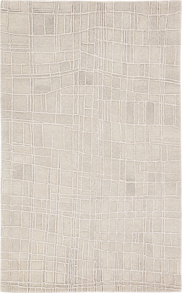 Jaipur Living City Boston CT121 Light Gray Area Rug