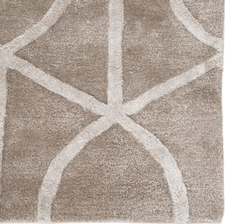 Jaipur Living City Seattle CT14 Gray/White Area Rug