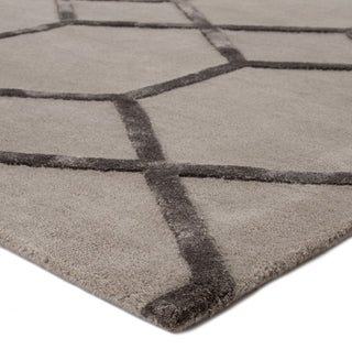 Jaipur Living City Chicago CT15 Silver Area Rug