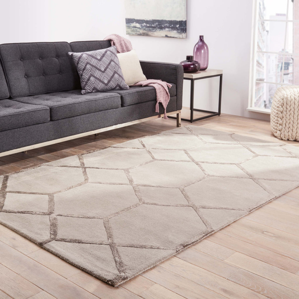 Jaipur Living City Chicago CT15 Silver Area Rug Lifestyle Image Feature