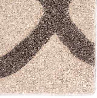 Jaipur Living City Regency CT44 Gray Area Rug