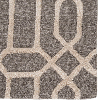 Jaipur Living City Bellevue CT71 Light Gray Area Rug