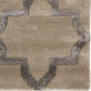 Jaipur Living City Canton CT85 Tan Area Rug