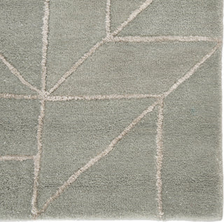 Jaipur Living City Lafayette CT97 Gray Area Rug