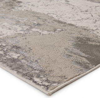 Jaipur Living Catalyst Cisco CTY04 Gray Area Rug