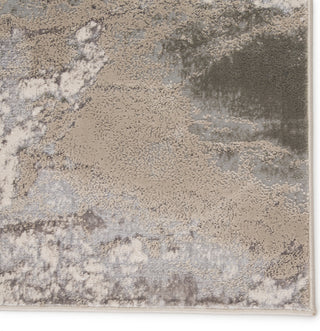 Jaipur Living Catalyst Cisco CTY04 Gray Area Rug