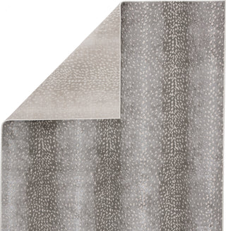 Jaipur Living Catalyst Axis CTY08 Gray/Natural Area Rug