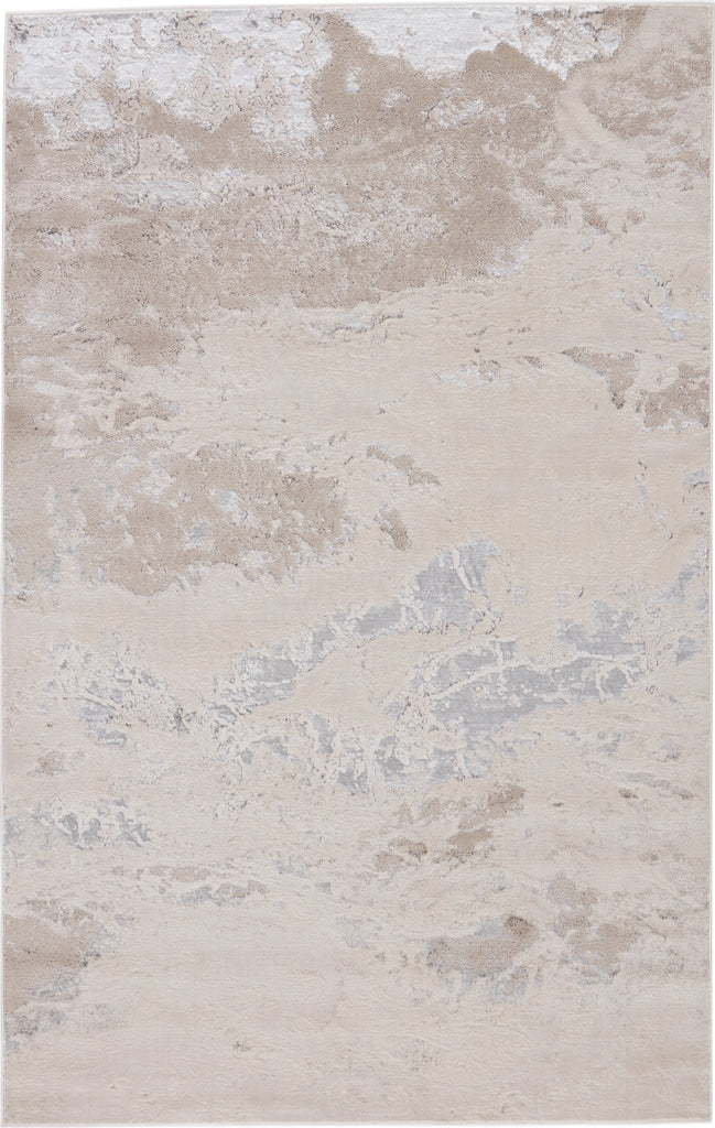 Jaipur Living Catalyst Cisco CTY11 Light Gray/Silver Area Rug - Top Down