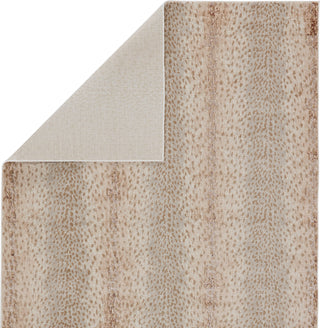 Jaipur Living Catalyst Axis CTY13 Tan/Gray Area Rug