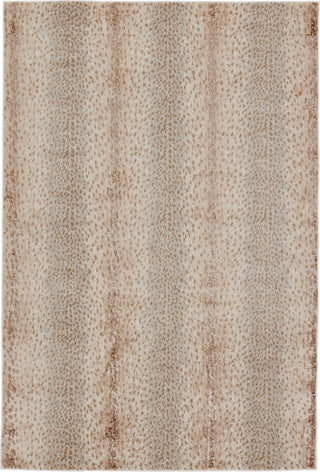 Jaipur Living Catalyst Axis CTY13 Tan/Gray Area Rug