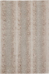 Jaipur Living Catalyst Axis CTY14 Light Gray/Brown Area Rug Main Image