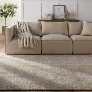 Jaipur Living Catalyst Dune CTY16 Brown/Taupe Area Rug main image