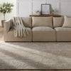 Jaipur Living Catalyst Dune CTY16 Brown/Taupe Area Rug Main Image