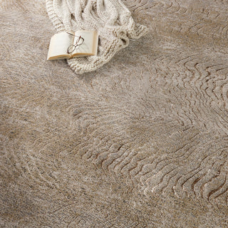 Jaipur Living Catalyst Dune CTY16 Brown/Taupe Area Rug Main Image