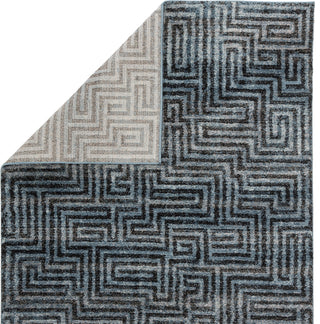 Jaipur Living Dalton Utter DAT07 Blue/Black Area Rug