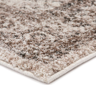 Jaipur Living Dalton Eisley DAT09 Brown/Ivory Area Rug