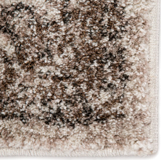 Jaipur Living Dalton Eisley DAT09 Brown/Ivory Area Rug