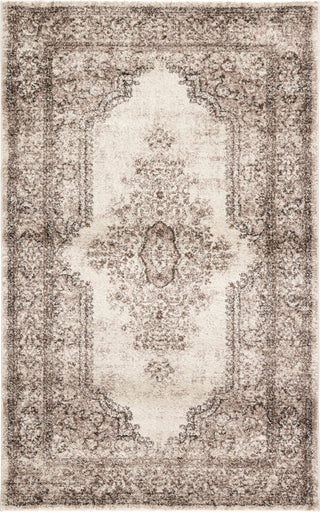 Jaipur Living Dalton Eisley DAT09 Brown/Ivory Area Rug