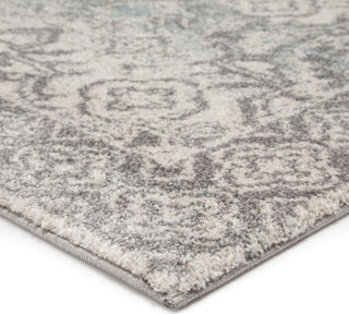 Jaipur Living Dalton Dasha DAT10 Blue/Gray Area Rug