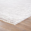 Jaipur Living Denisli Pelle DEN03 Gray Area Rug
