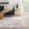 Jaipur Living Denisli Pelle DEN03 Gray Area Rug Lifestyle Image Feature